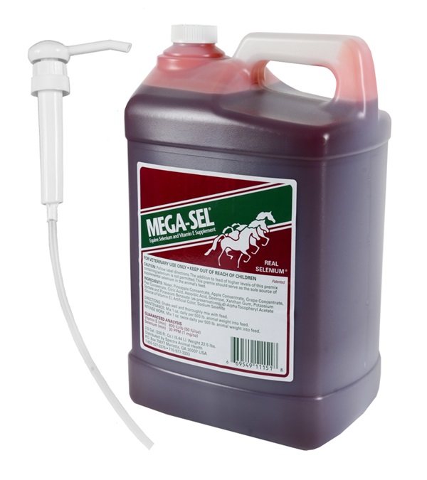 Megasel3gal
