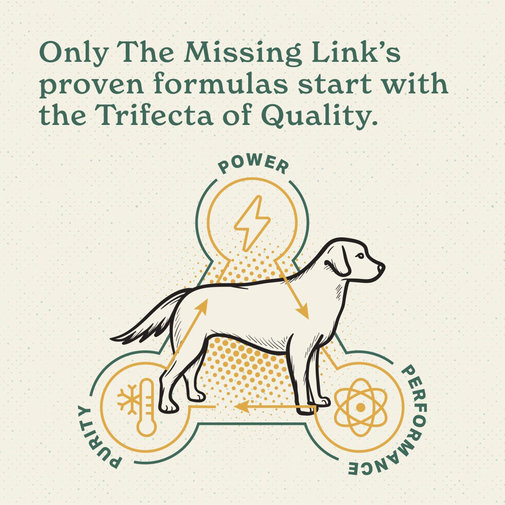 Missinglinkhipjointcanine4