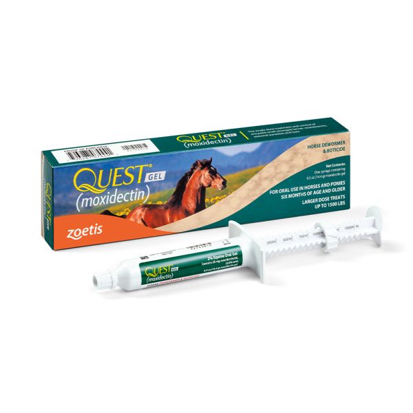 Questgel