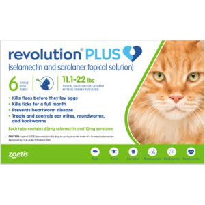 Revolutionpluscatgreen