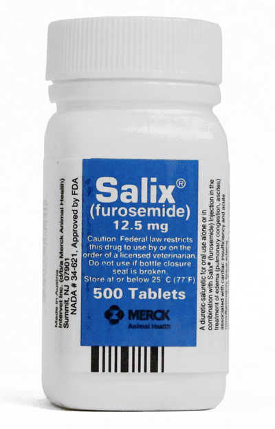 Salix125