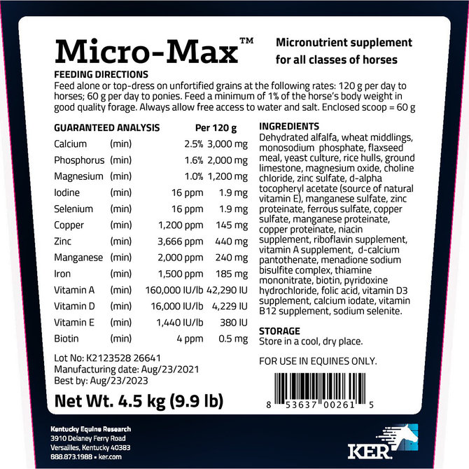 Micromaxback