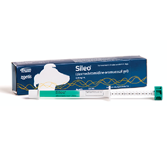 Sileo