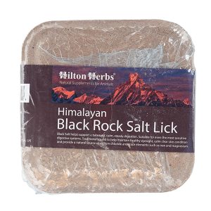 Blackrocksaltlick