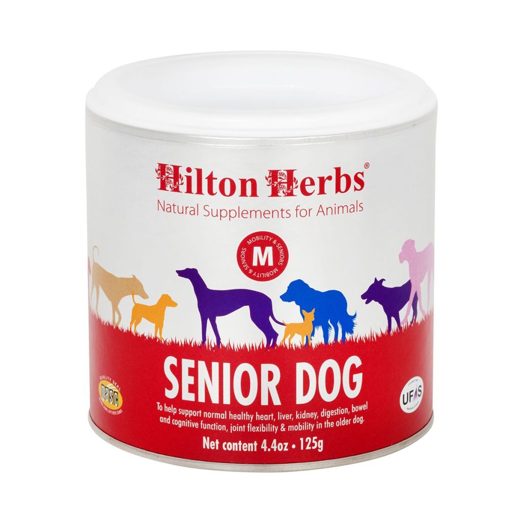 Seniordog