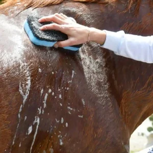 Aprilpowershower3